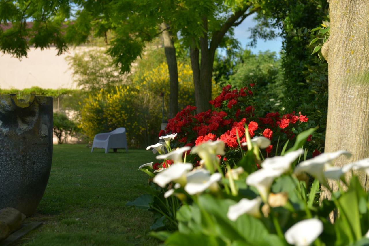 B&B Ca Di Viazadur Faenza Luaran gambar