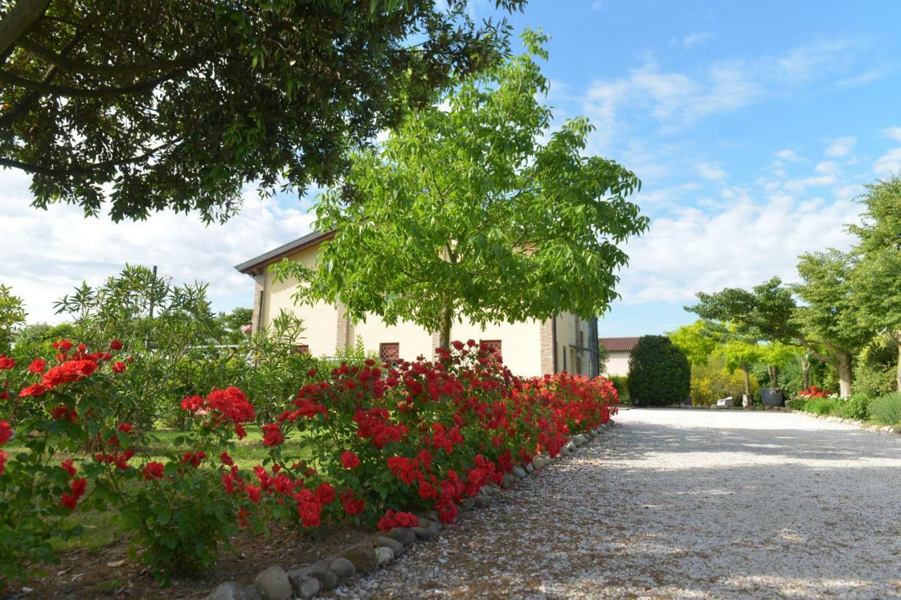 B&B Ca Di Viazadur Faenza Luaran gambar
